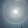 成都维罗纳小任7