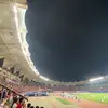 半熟的夏天