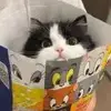 Aaaaaa栋
