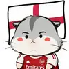 四川古迪逊公园球场小姚5