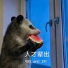 纳是一阵风