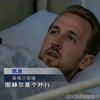 晴川历历汉阳树