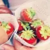 孝感弗赖堡小杨