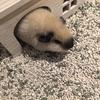 长春王子公园体育场小宋