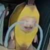志在四方qwq