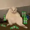 心羽丶