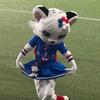 Kaye小凯