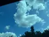 leoleoleoeleo