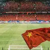 不摇壁莲