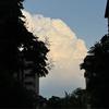知名不具0