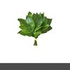 恰不掉先森
