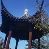 青春就是最孤独的狂欢