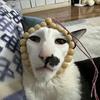 拜仁传奇亚马尔