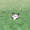 火星斯特拉斯堡小陶15