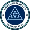 深圳南特小莫4