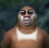 Bryontan