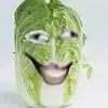 -栀子花-