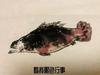 火星莱茵能源体育场小萧8
