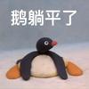 霜冰星河