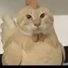 一三二叶