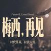 万物不及梅西