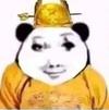 酪月