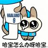 海淀小学生