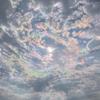 FAN17-