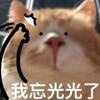 10巴乔18