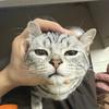 怡然范小勤