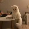 铁蛋Tiedan