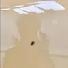听书语