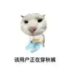 开封深圳小贺