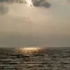 弗兰克托斯马克