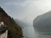 爪哥哥