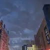 烟桅