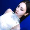 南美阳光水豚leo