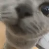 哈兰德贝林厄姆巴佩