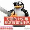 我爱看球不懂球