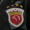 Wangcai_0204
