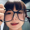 阿尔卑斯以北