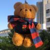 G_E_Messi