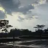 伴风游