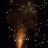 广东热那亚小雷8
