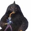 火星队跟队翻译