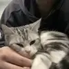厦门前腰小李1