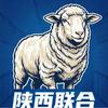 飛翔的藍鷹