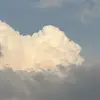DDSsv