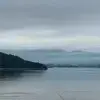 沧州切尔西小董