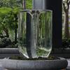 朋克小蔡